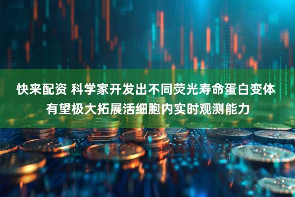 快来配资 科学家开发出不同荧光寿命蛋白变体 有望极大拓展活细胞内实时观测能力