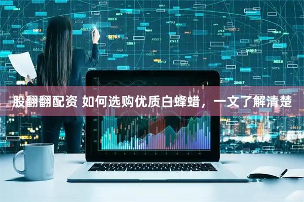 股翻翻配资 如何选购优质白蜂蜡,一文了解清楚